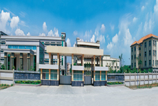 Dongguan Baiyi Electronics Factory